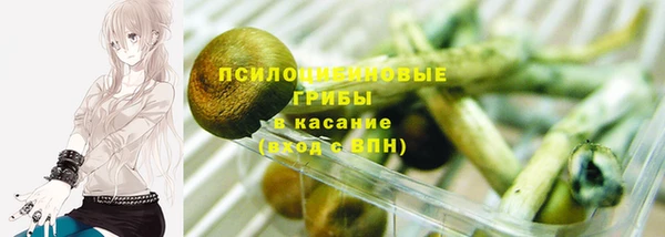 прущая мука Горно-Алтайск