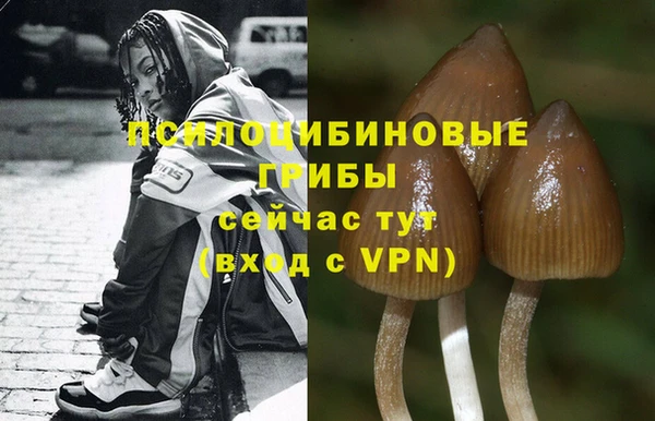 прущая мука Горно-Алтайск